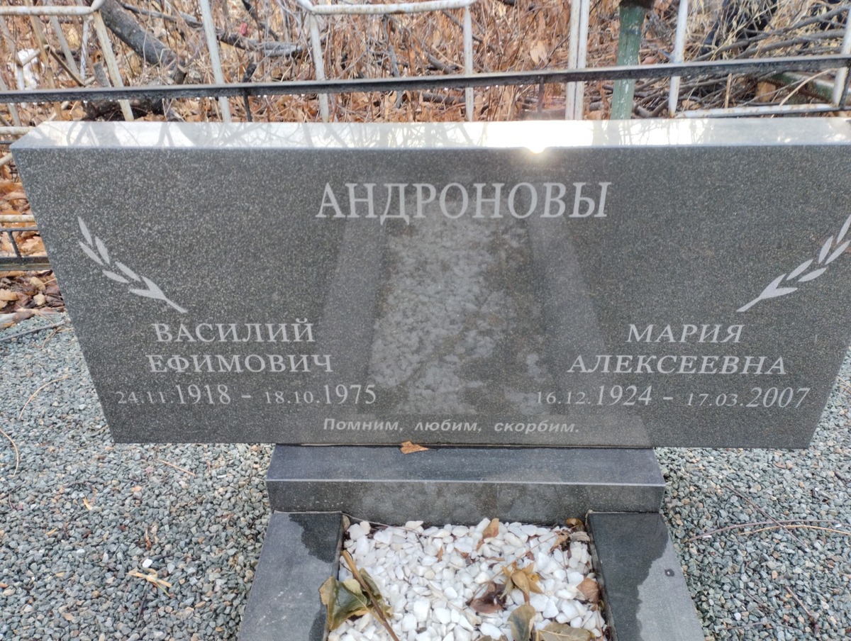 Андронов Василий Ефимович