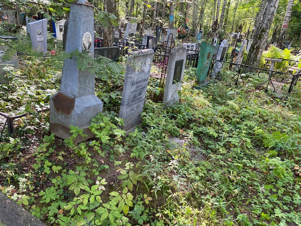 Синицын Александр Васильевич