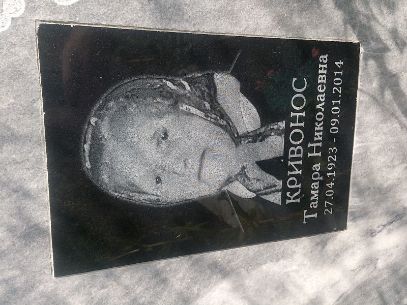 Кривонос