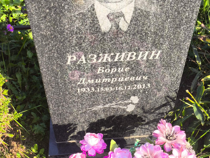 Разживин