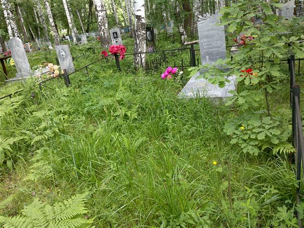 Зотова Анастасия Ивановна