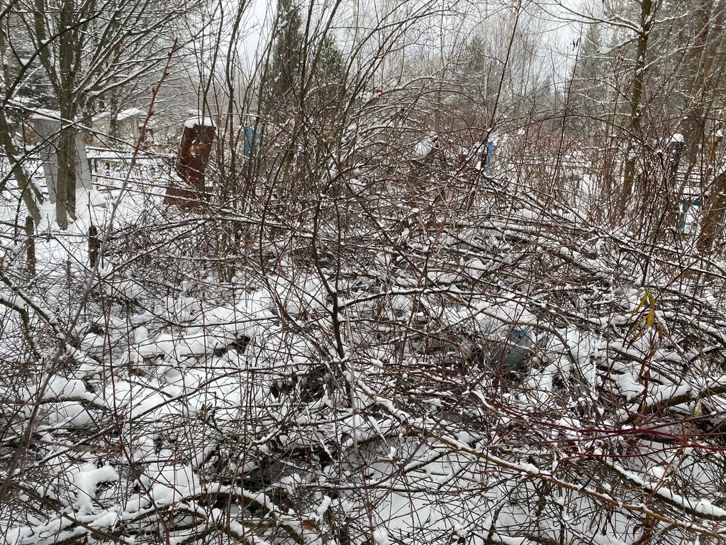 Степанова Светлана Александровна