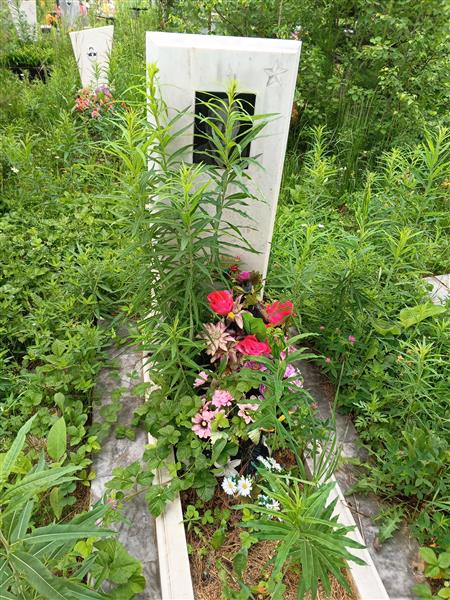 Пальцев Иван Петрович