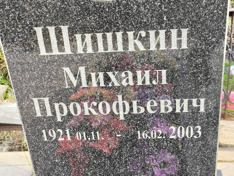 Шишкин