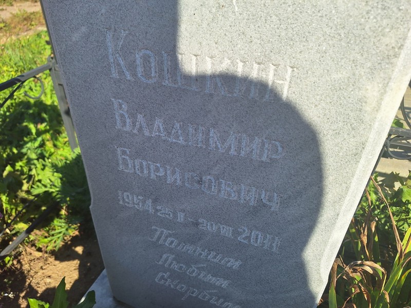 Кошкин