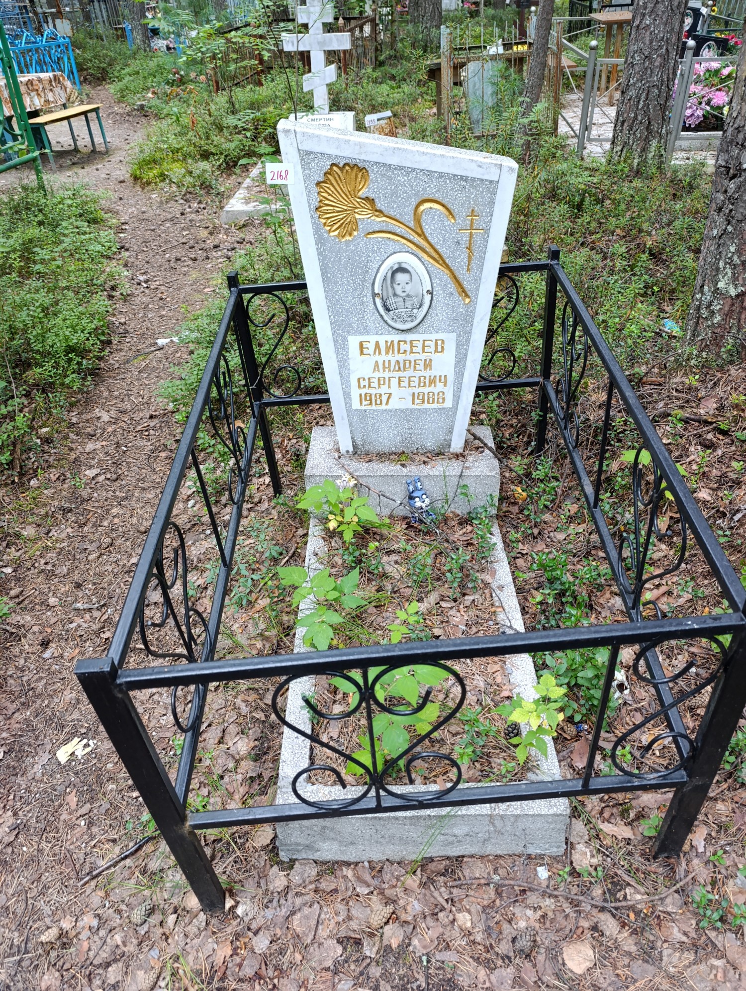 Елисеев Андрей Сергеевич