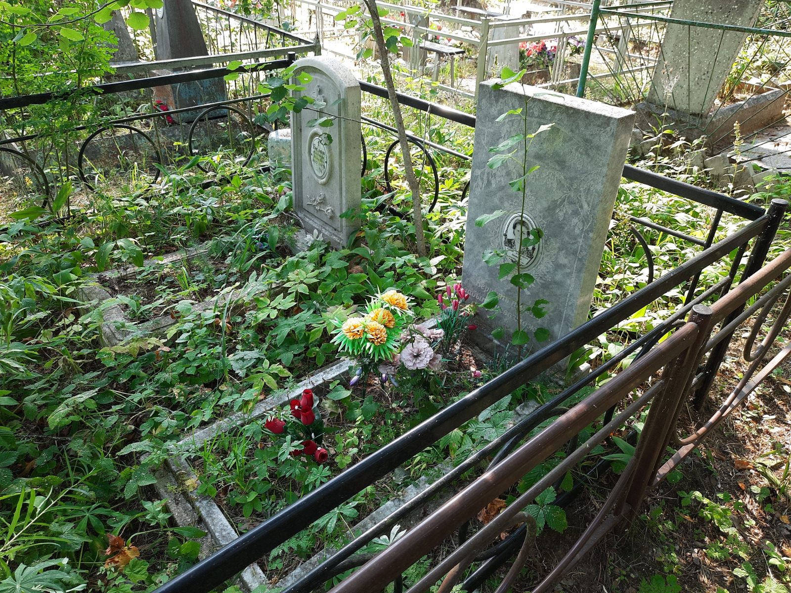 Цветкова Альбина Александровна