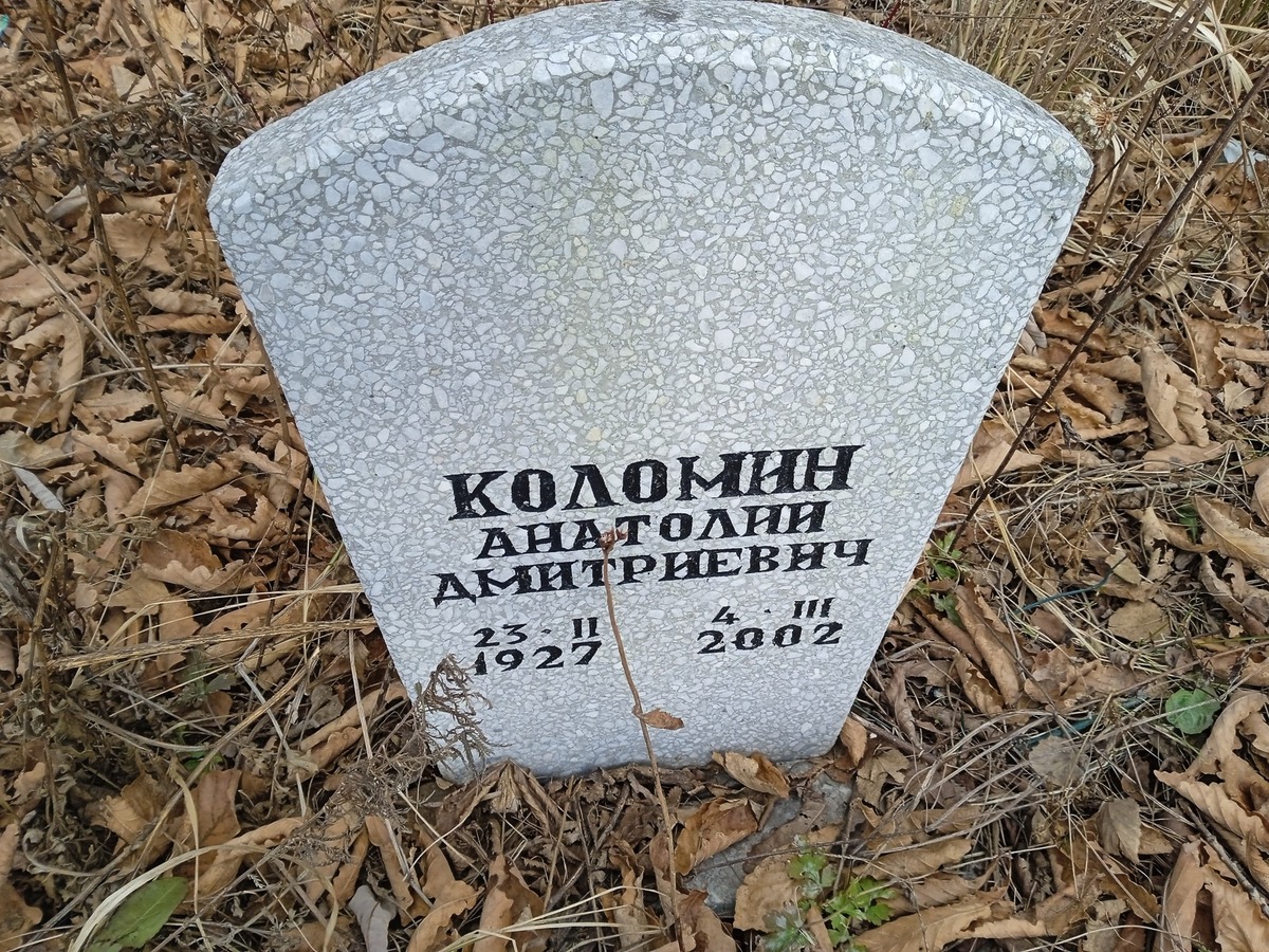 Коломин Анатолий Дмитриевич