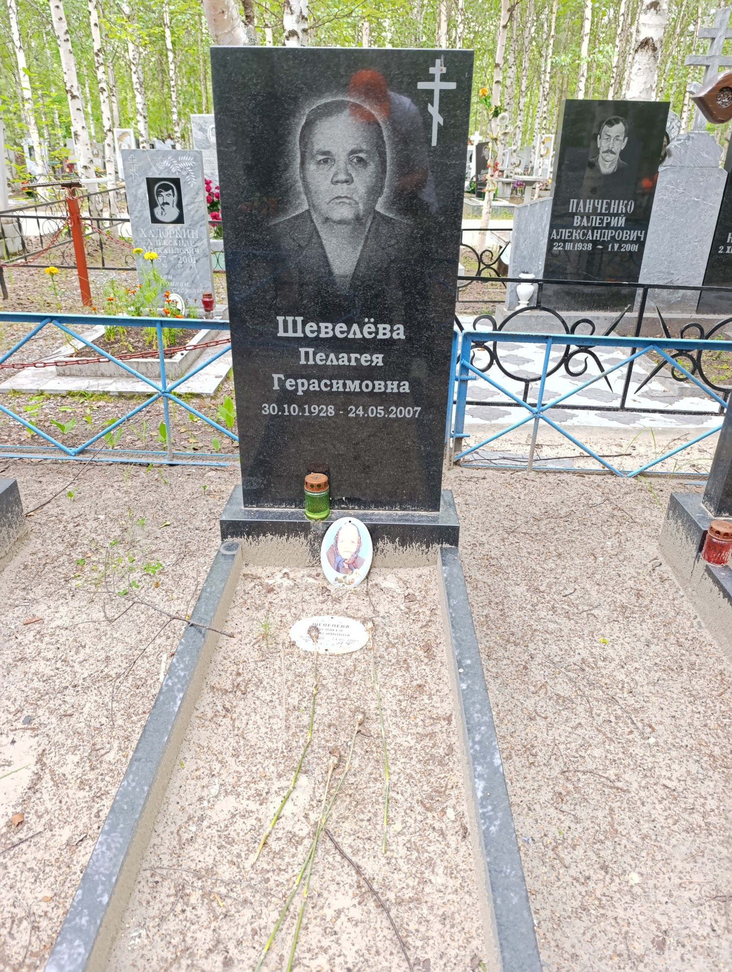 Шевелева Пелагея Герасимовна
