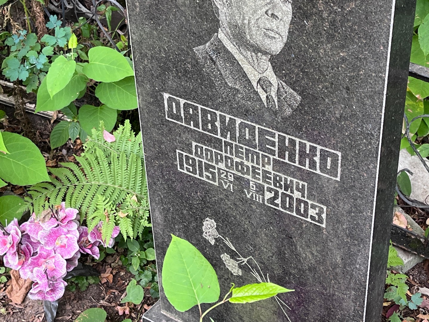 Давиденко