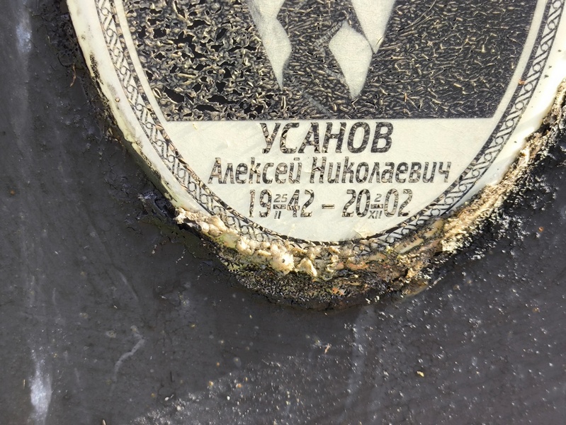 Усанов