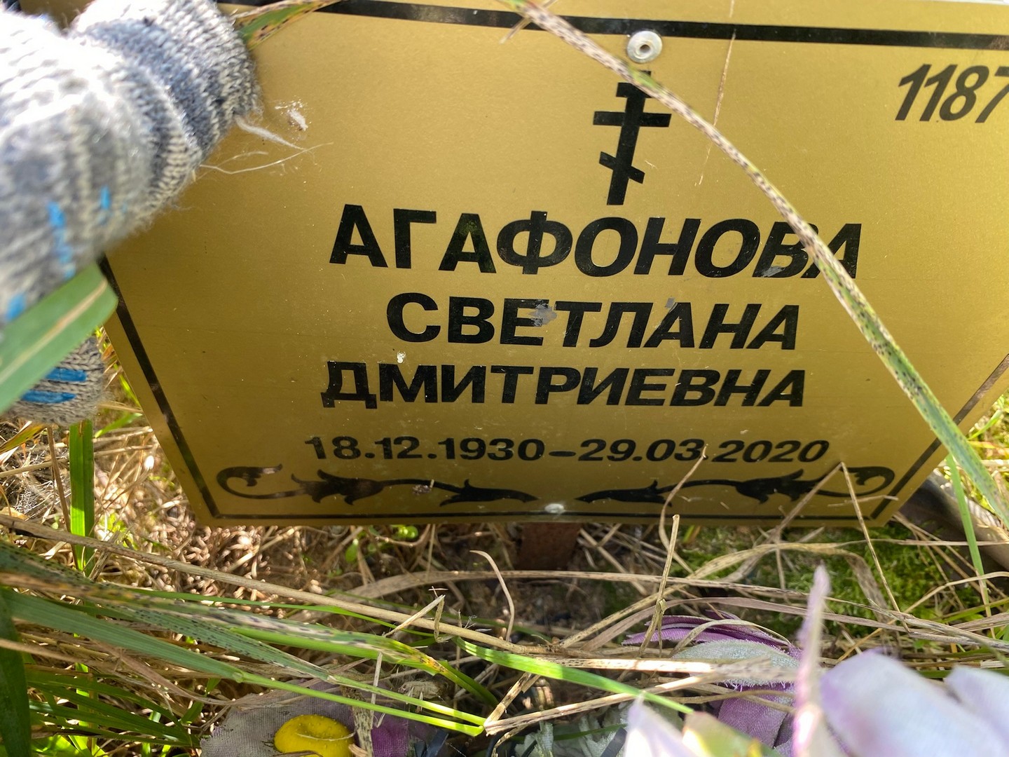 Агафонова
