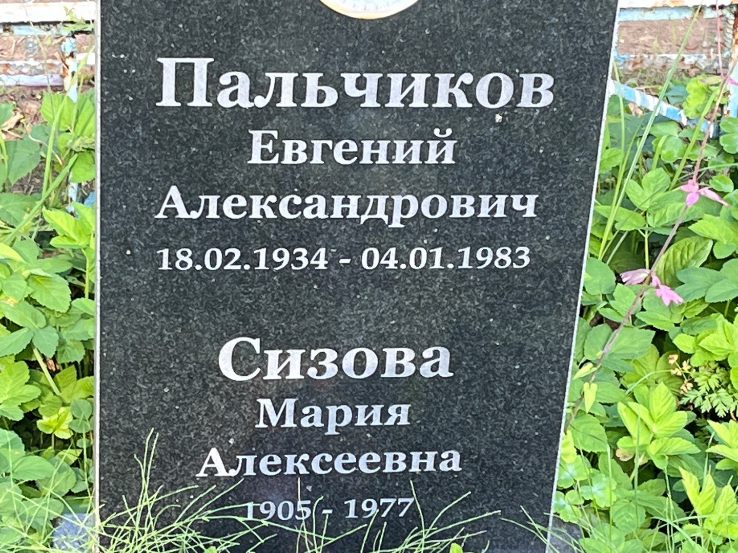 Пальчиков