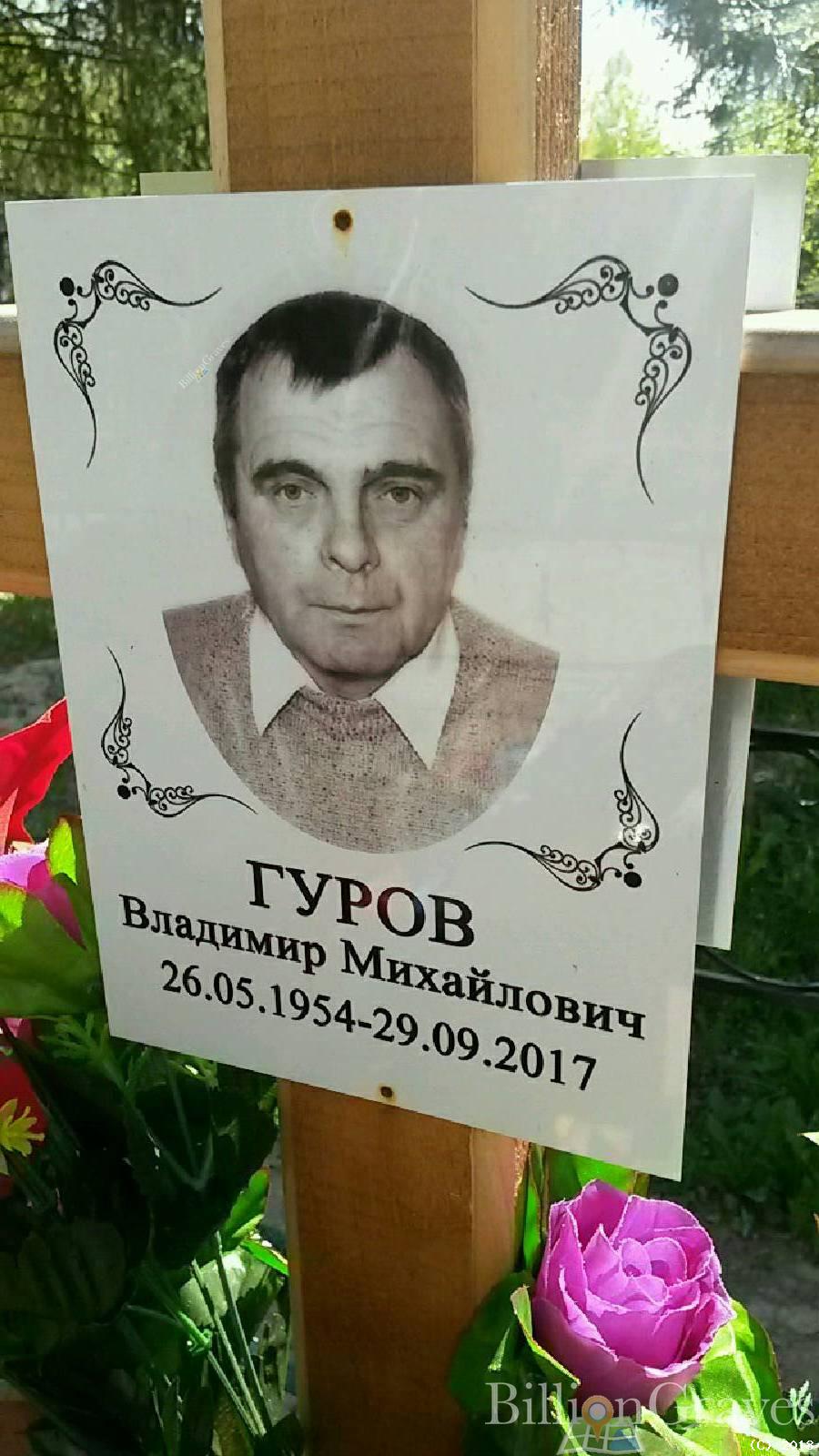 гуров владимир михайлович