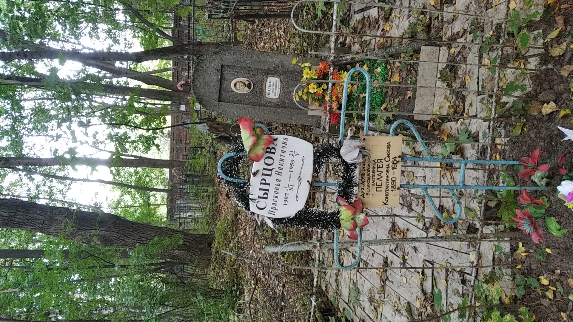 Сырцова Прасковья Никитична