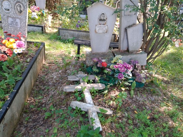 Сафонов Григорий Евгеньевич