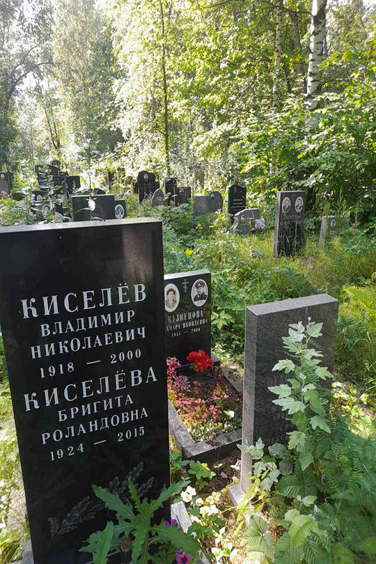 Киселев Владимир Николаевич