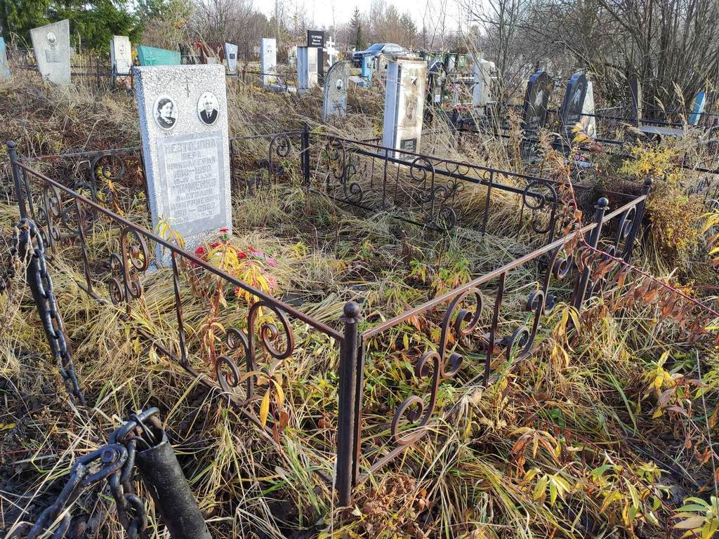 Невтонова Вера Николаевна