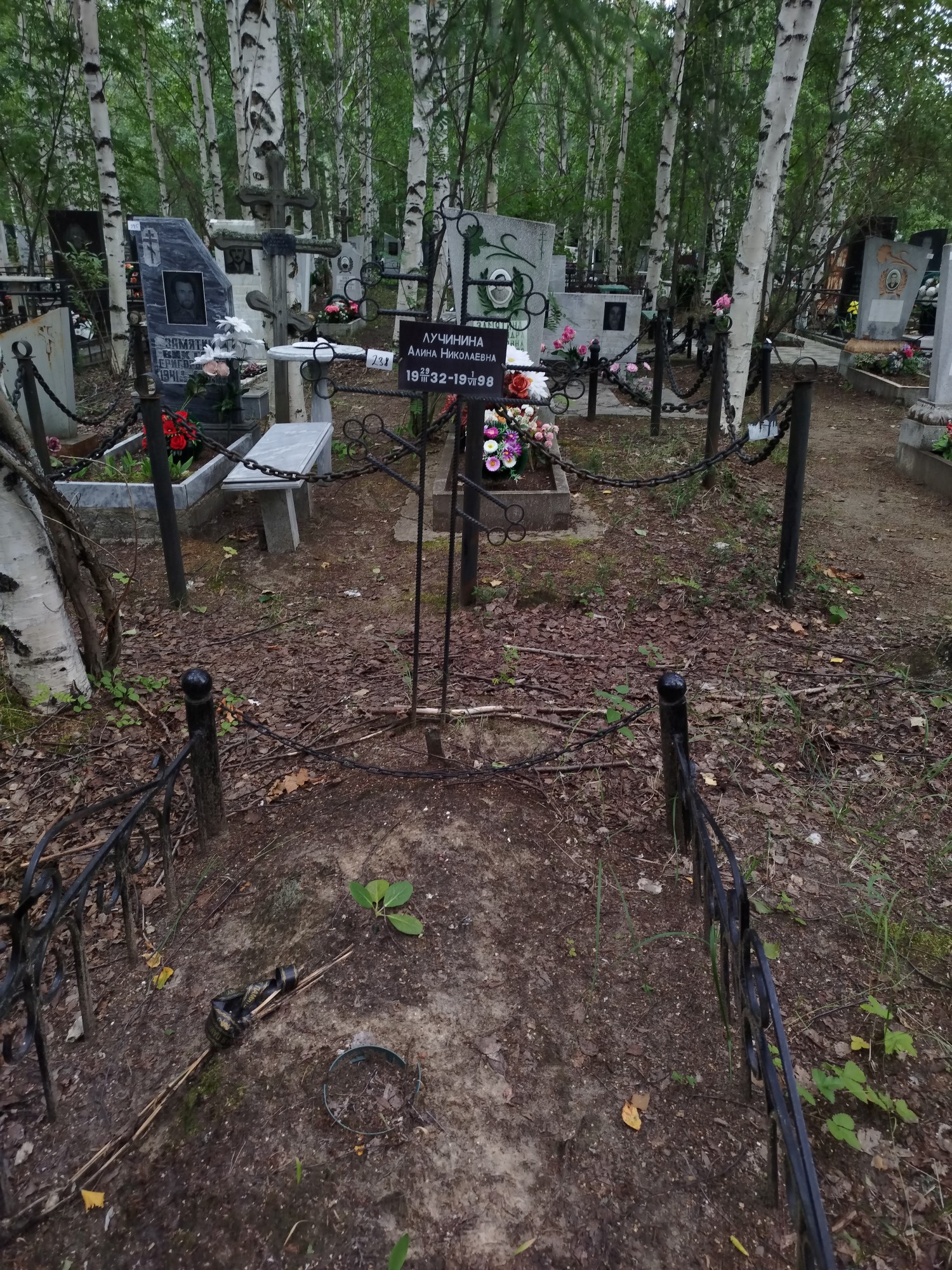 Лучинина Алина Николаевна