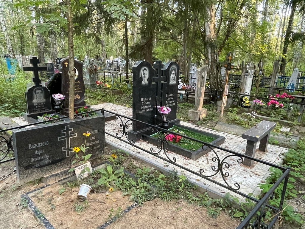 Шулаев Виктор Николаевич