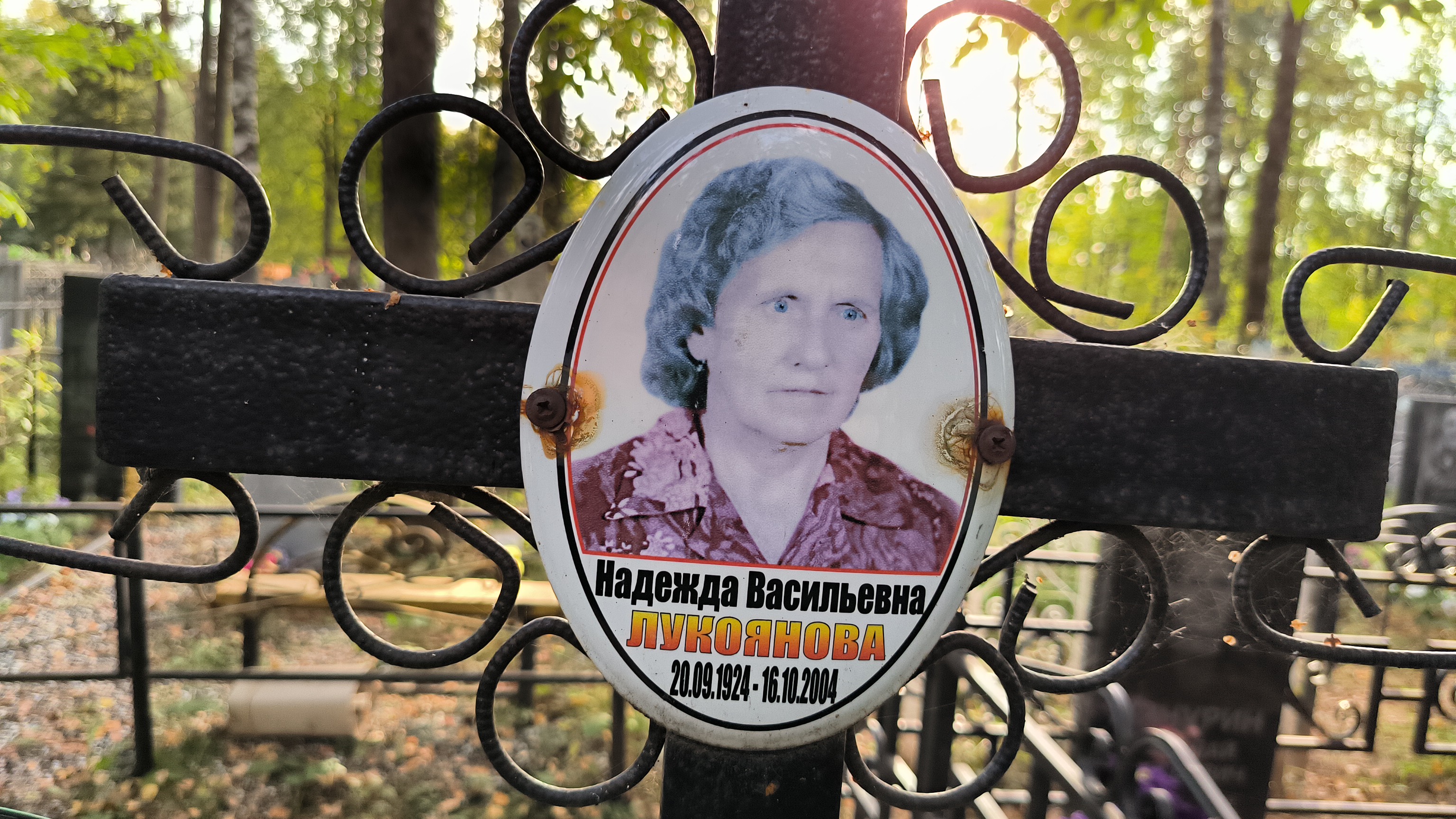 Лукоянова Надежда Васильевна