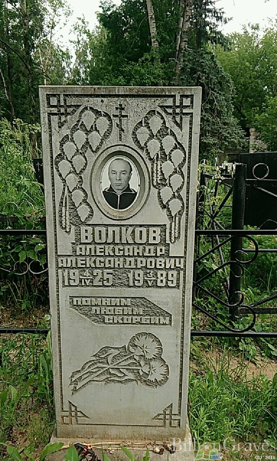 Волкова Анастасия Ивановна