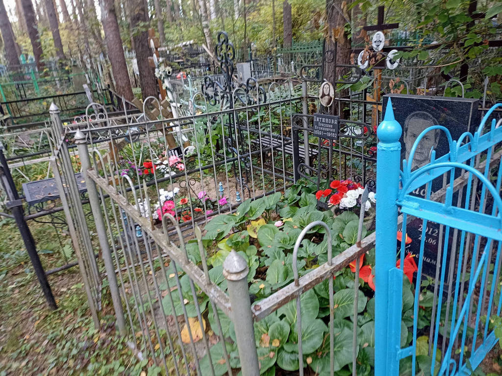 Тарасов Виктор Николаевич