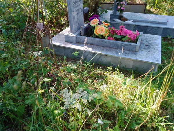 Зиновьева Наталья Петровна