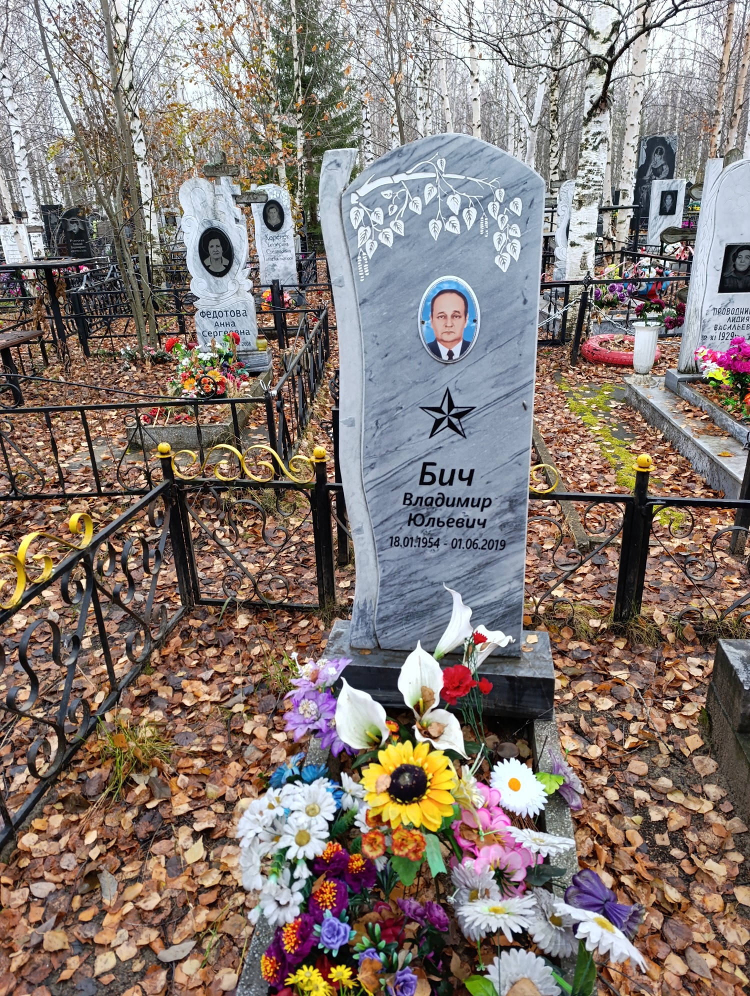 Бич Владимир Юльевич