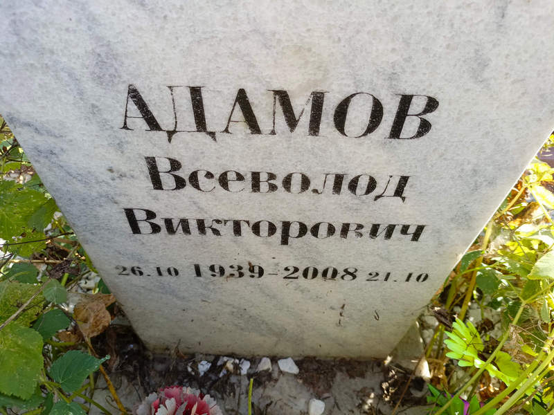Всеволод Адамов Викторович