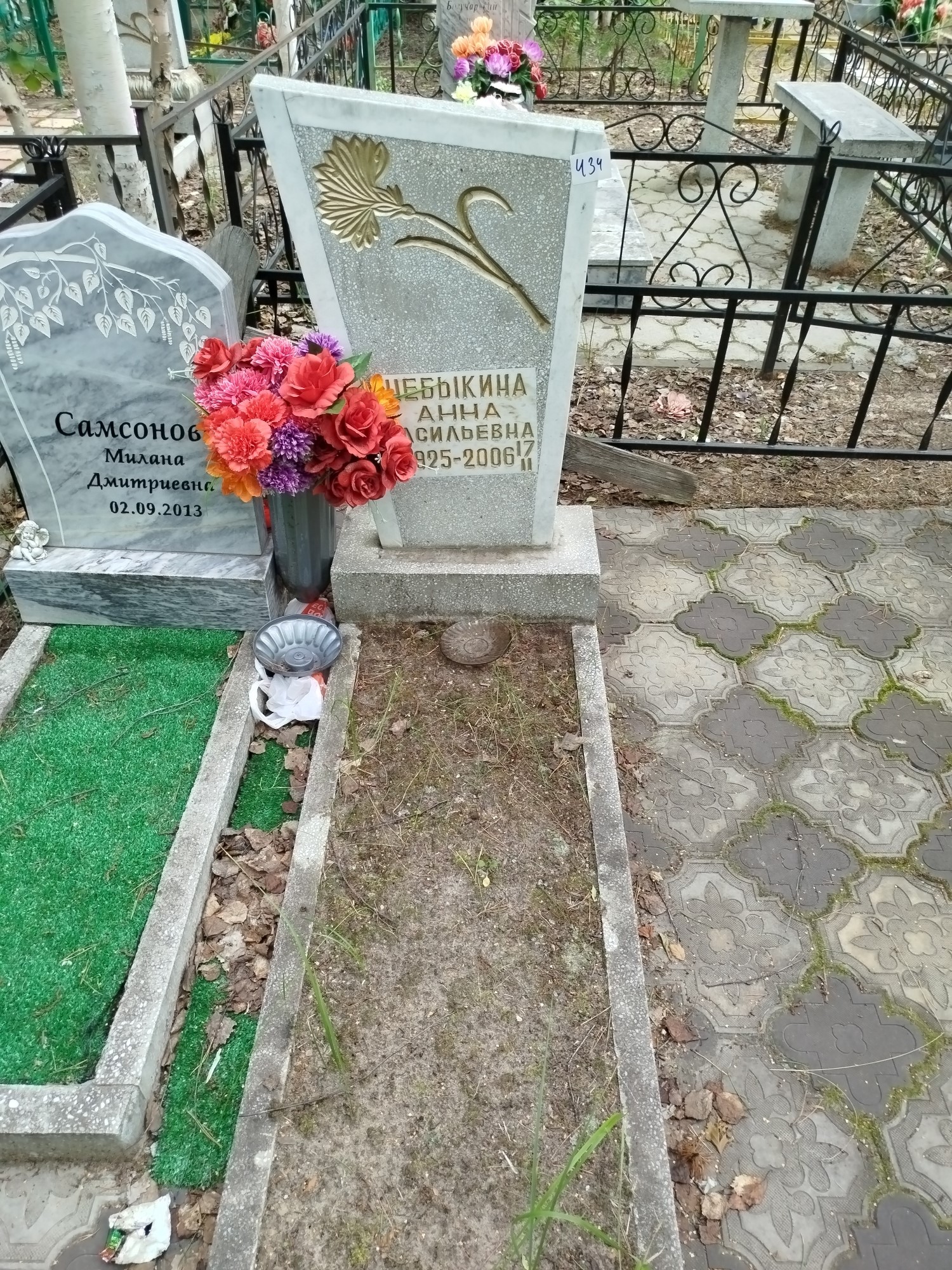 Чебыкина Анна Васильевна