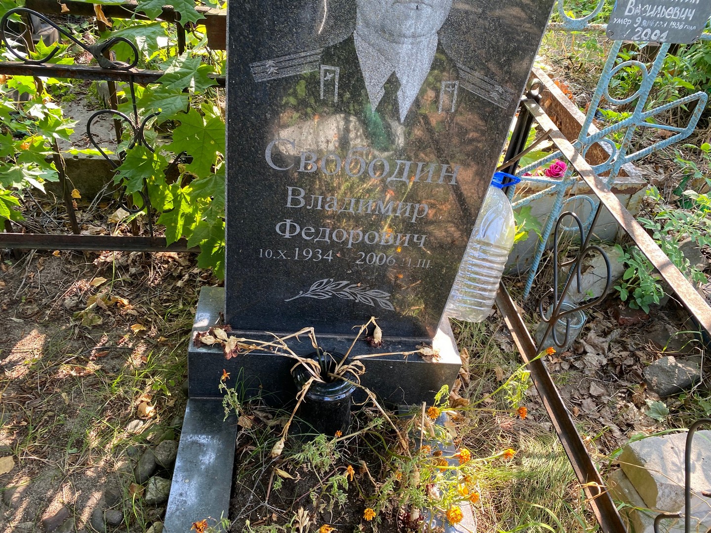 Свободин