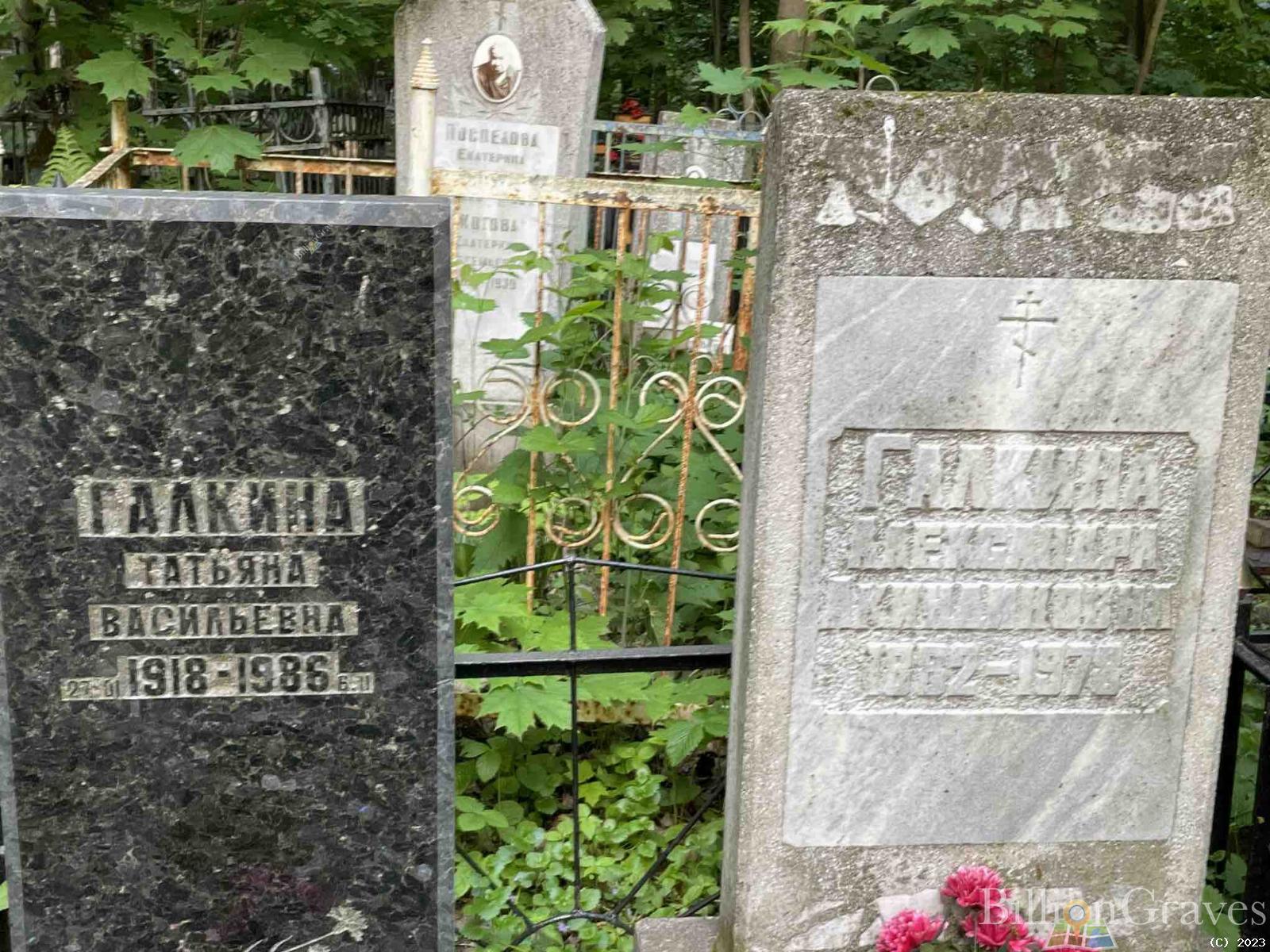 Галкина Татьяна Васильевна