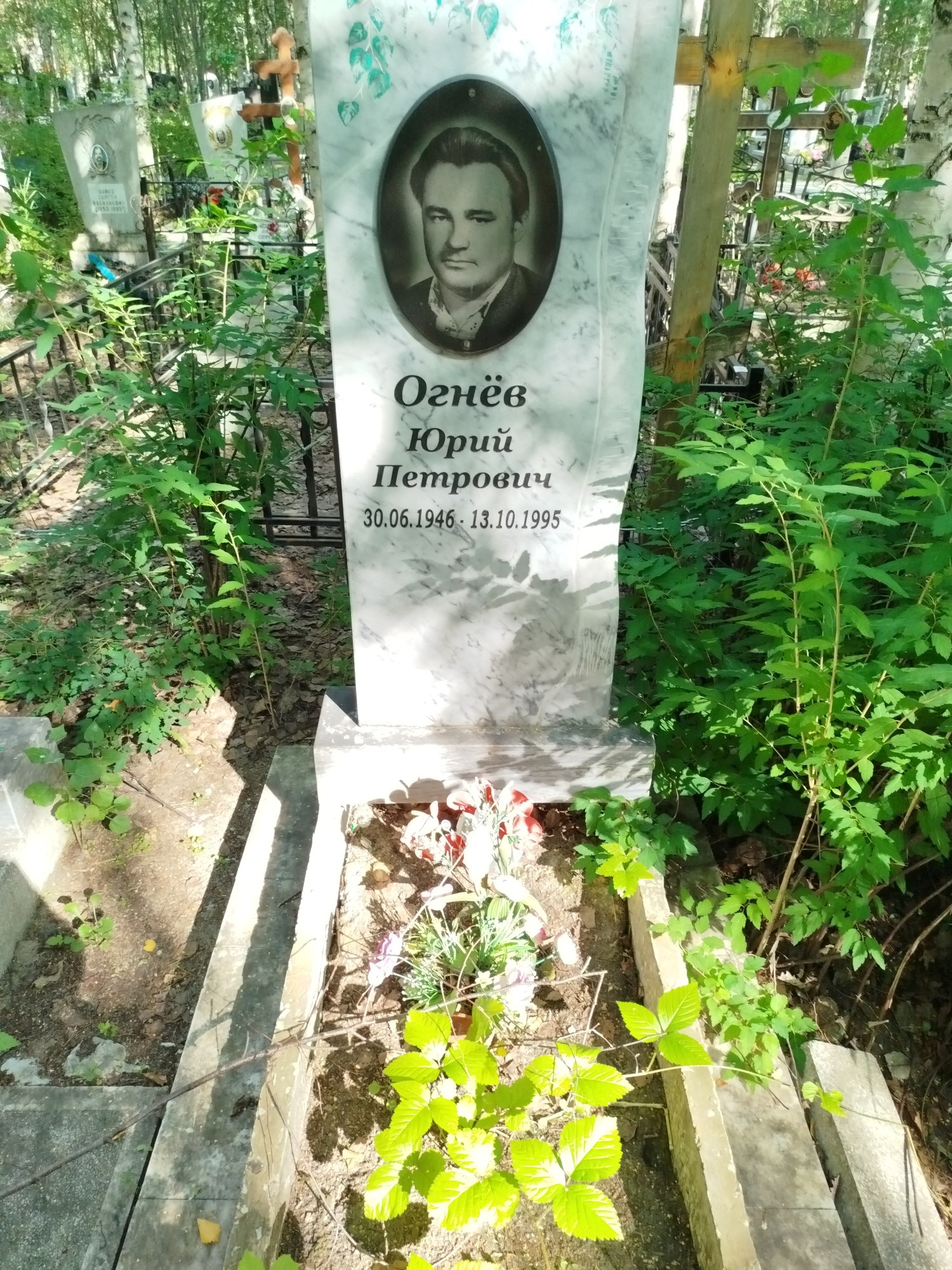 Огнев Юрий Петрович