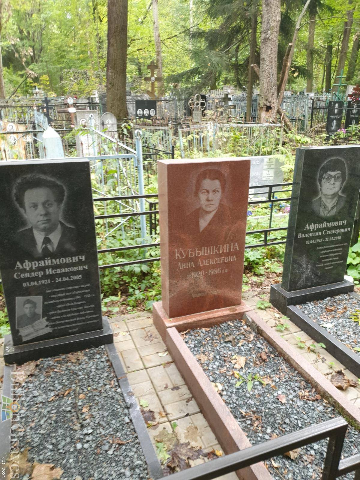 Кубышкина Анна Алексеевна