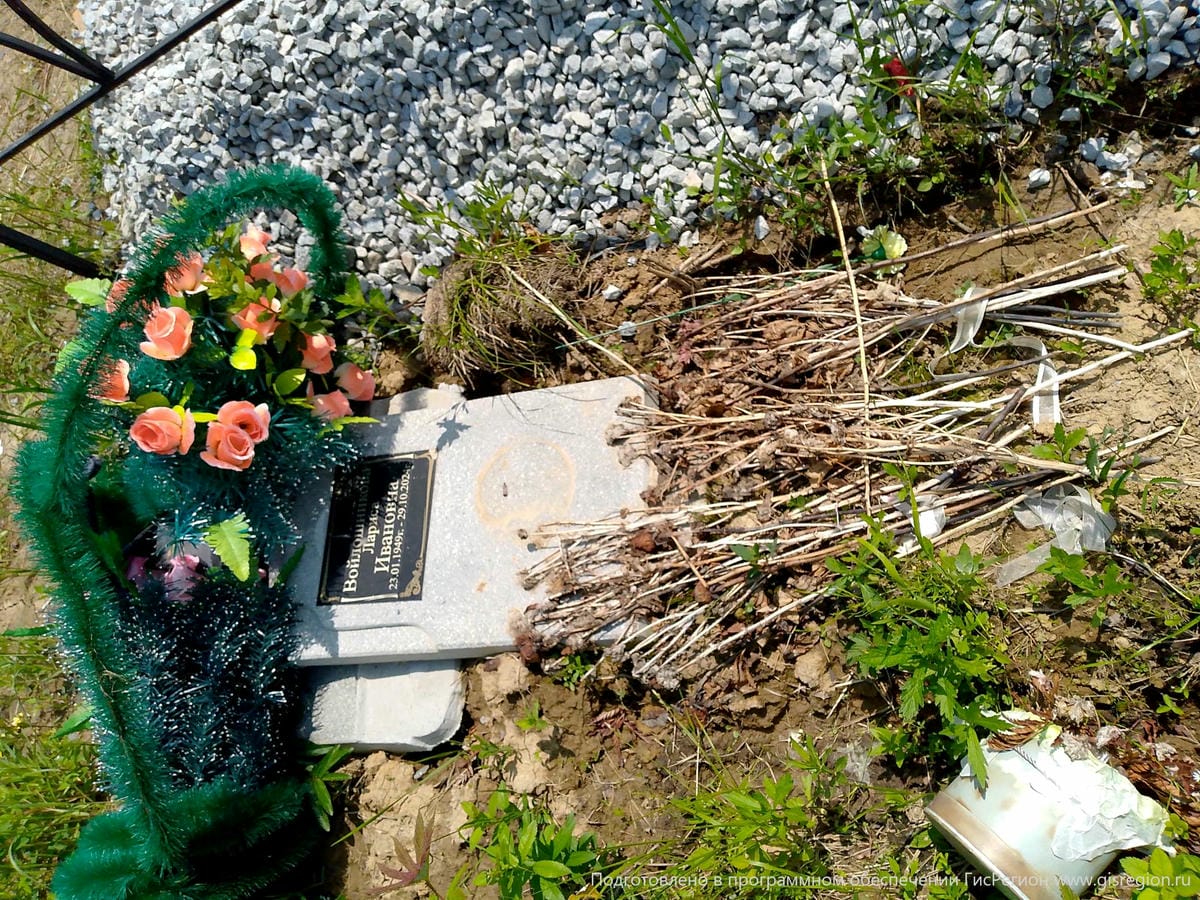 Войлошникова Лариса Ивановна
