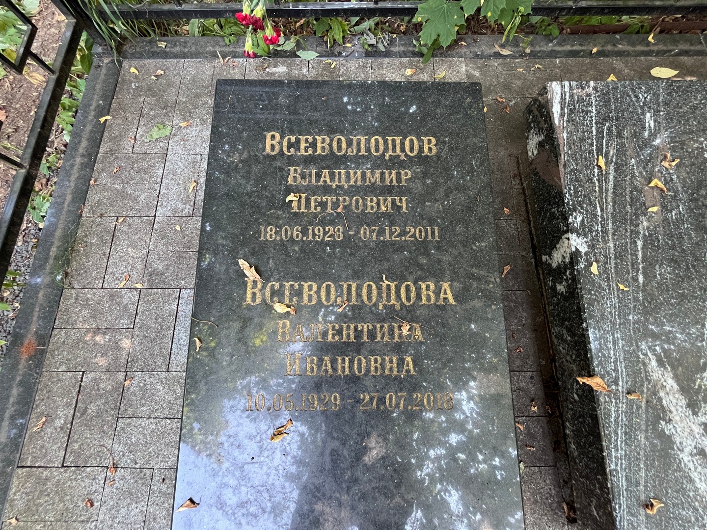 Всеволодова