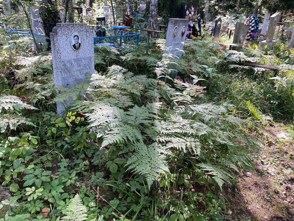 Меленцов Юрий Александрович