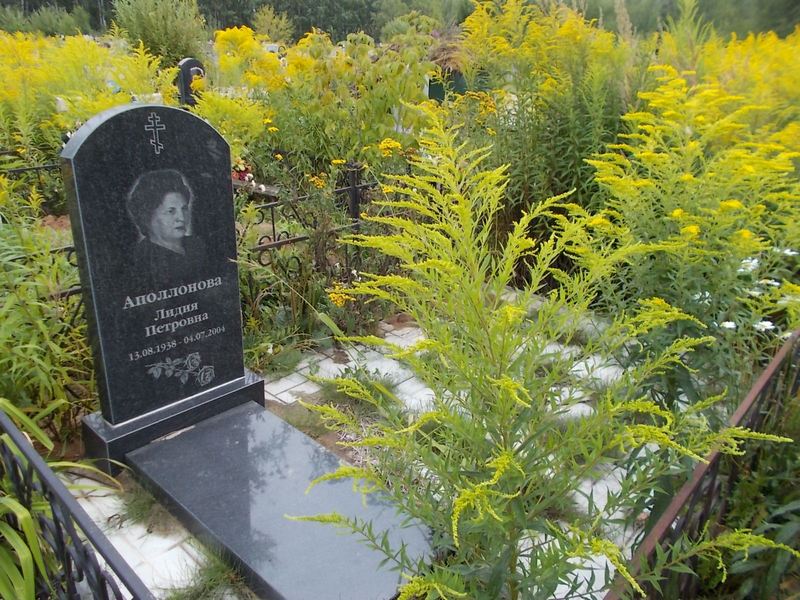 Аполлонова Лидия Петровна