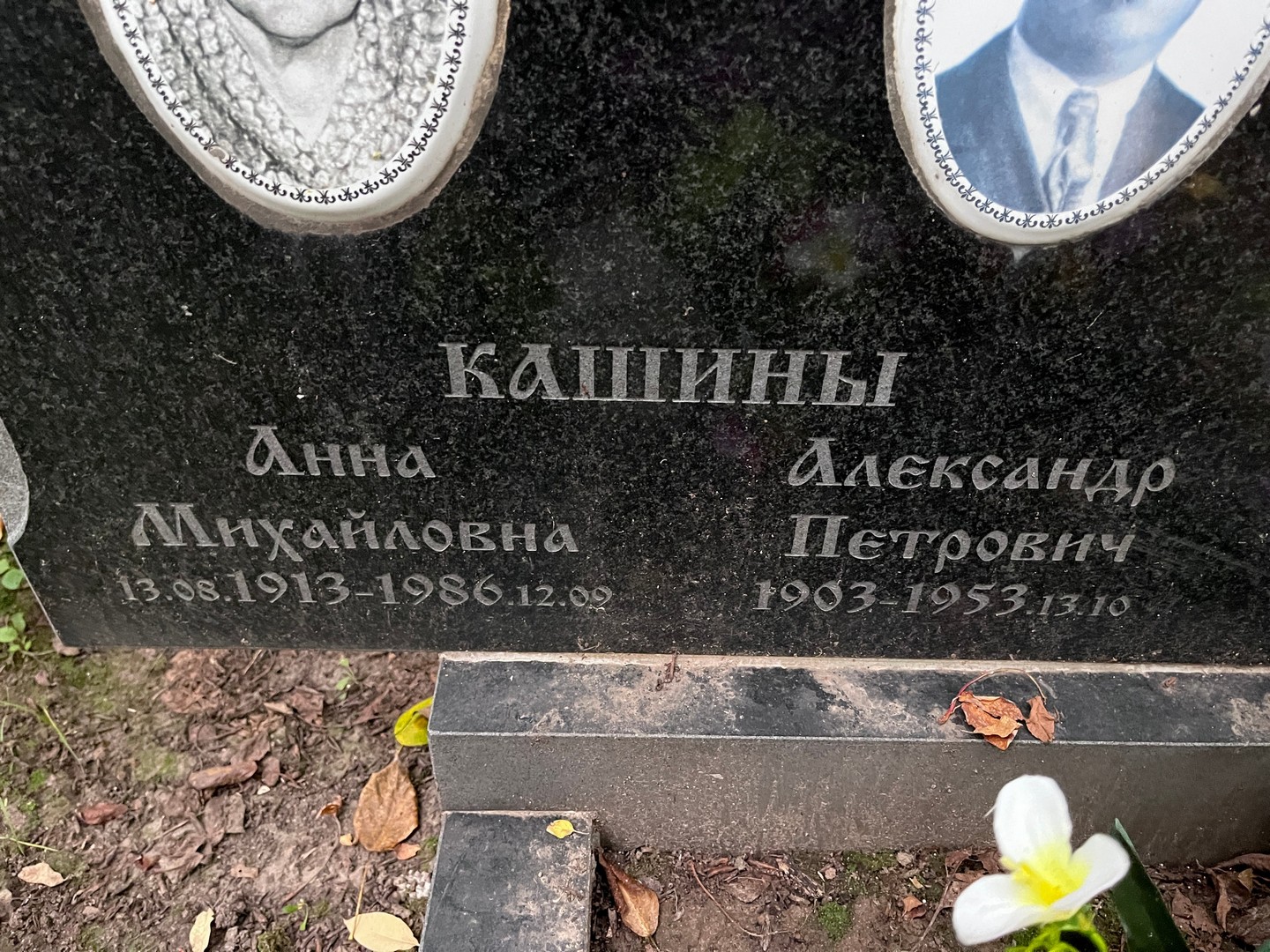 Кашина