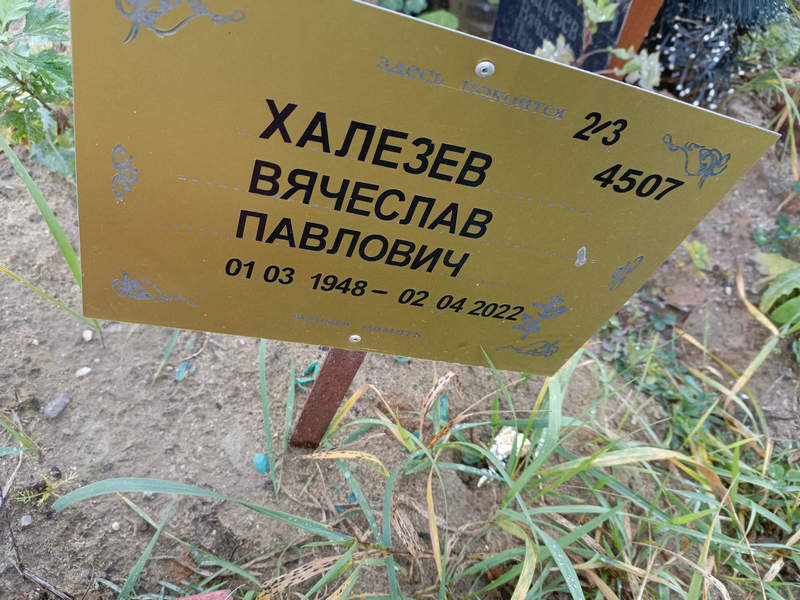 Халезев