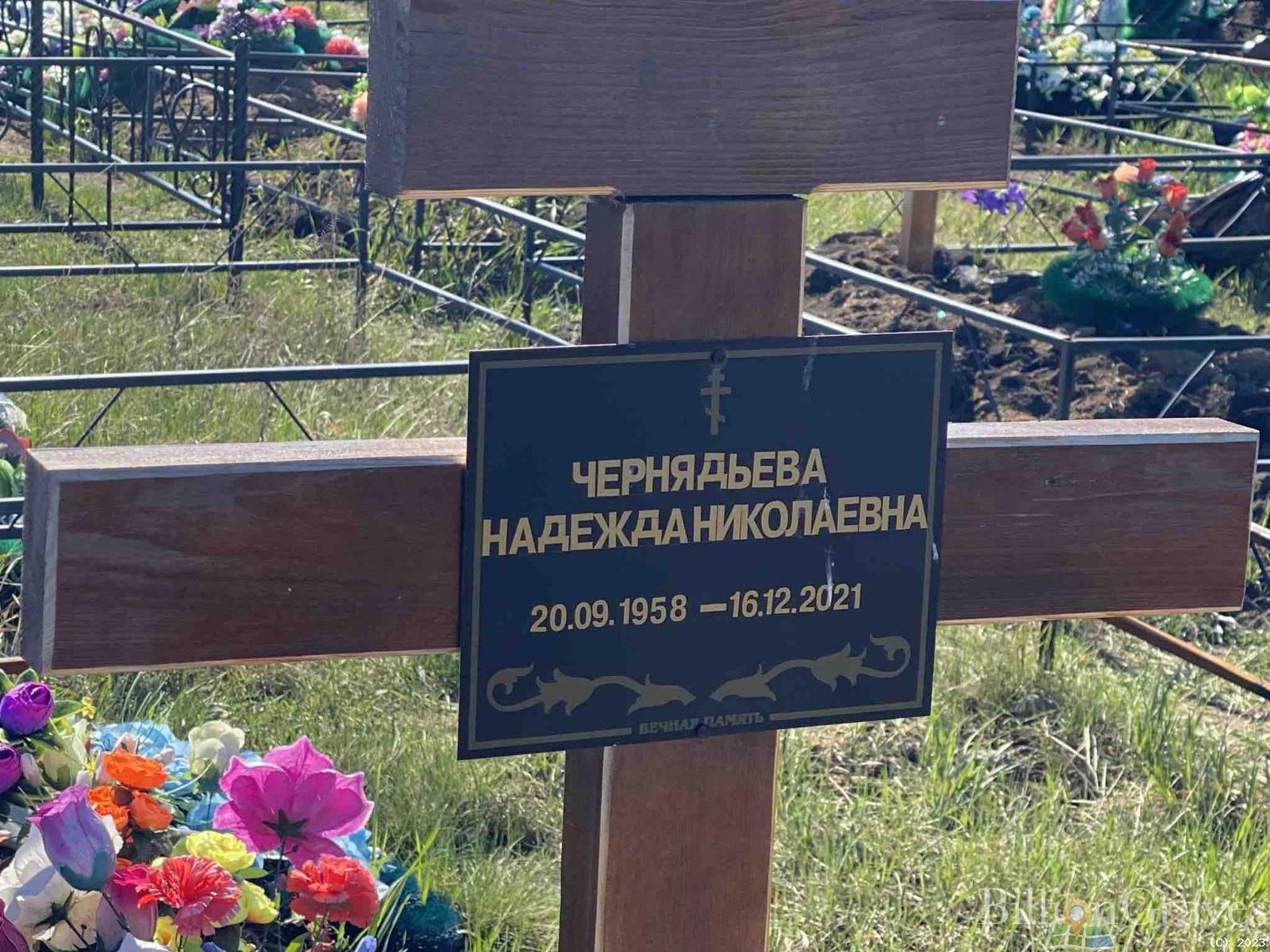 Чернядьева Надежда Николаевна