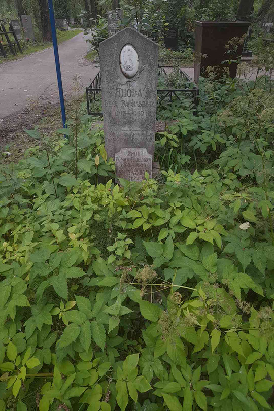 Авдеева (Янова) Алла Романовна
