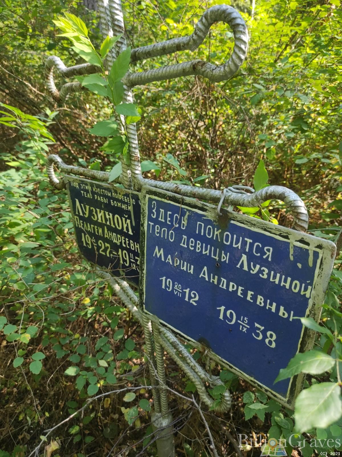 Лузина Мария Андреевна