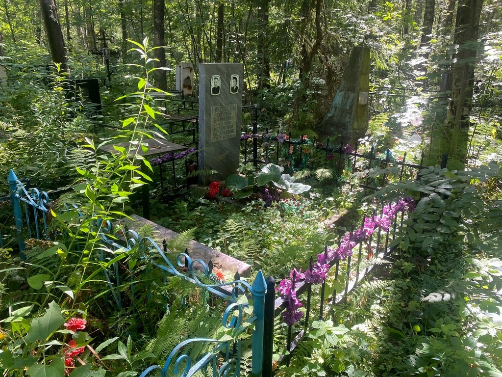 Николаева Валентина Васильевна