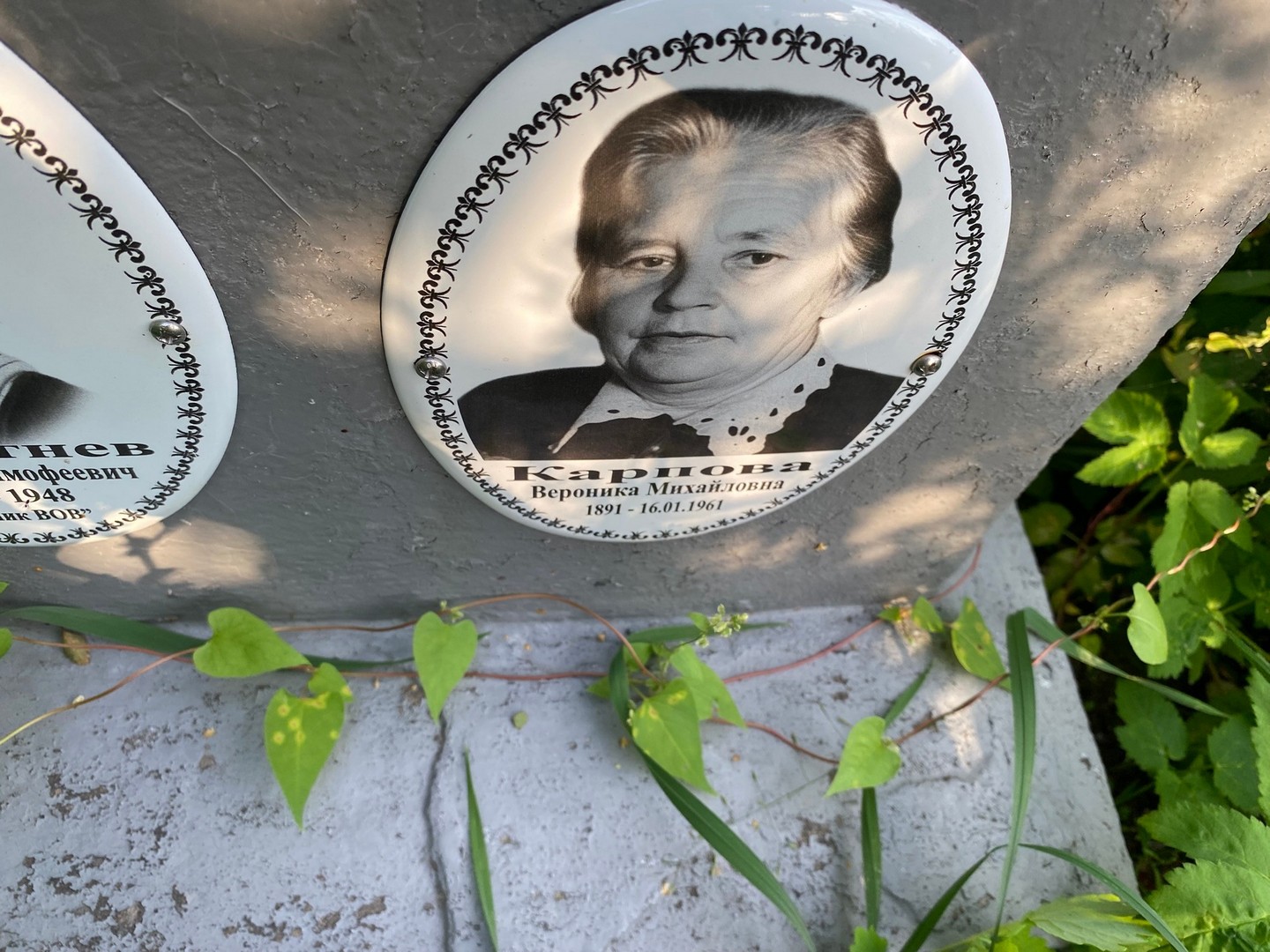 Вероника Карпова Михайловна