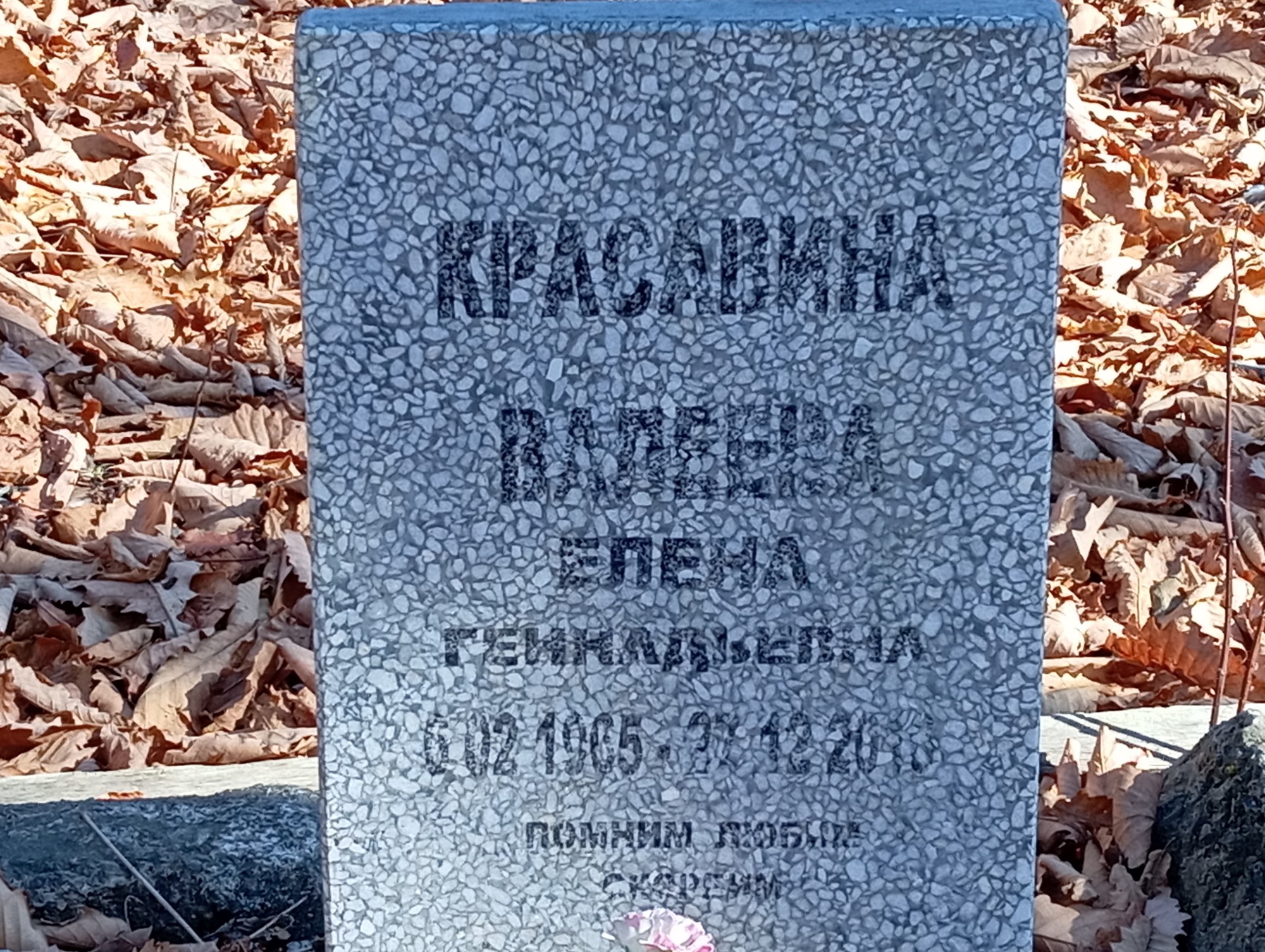 Красавина Валеева Елена