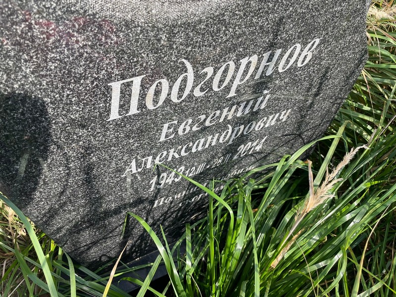 Подгорнов