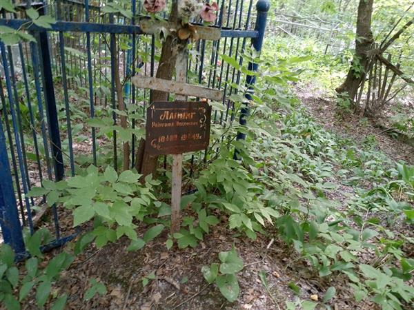 Лапинг Рейнгольд Иоганович