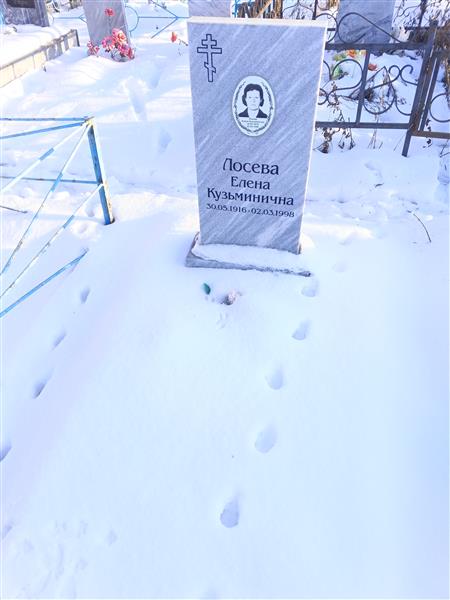 Лосева Елена Кузьминична